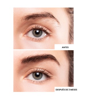 Sérum concentrado de cejas Eyebrow Neoxil Peptide Eyes